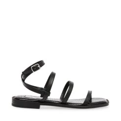 Steve Madden Superbly Sandal BLACK