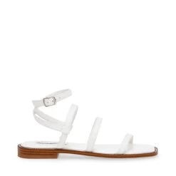 Steve Madden Superbly Sandal WHITE
