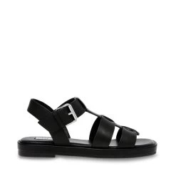 Steve Madden El Nino Sandal BLACK LEATHER