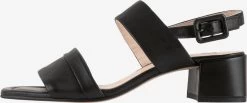 HÖGL Sandales à Talons Sandales SALLY Femme Noir